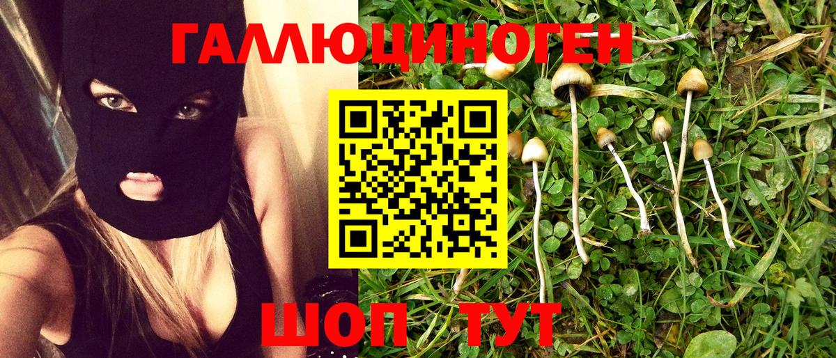 Кудымкар  купить наркотики сайты  Вход с VPN  Псилоцибиновые грибы мухоморы 