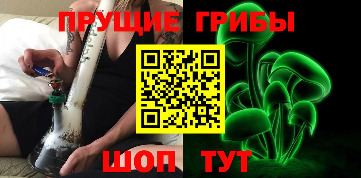 Псилоцибиновые грибы Psilocybe Кудымкар