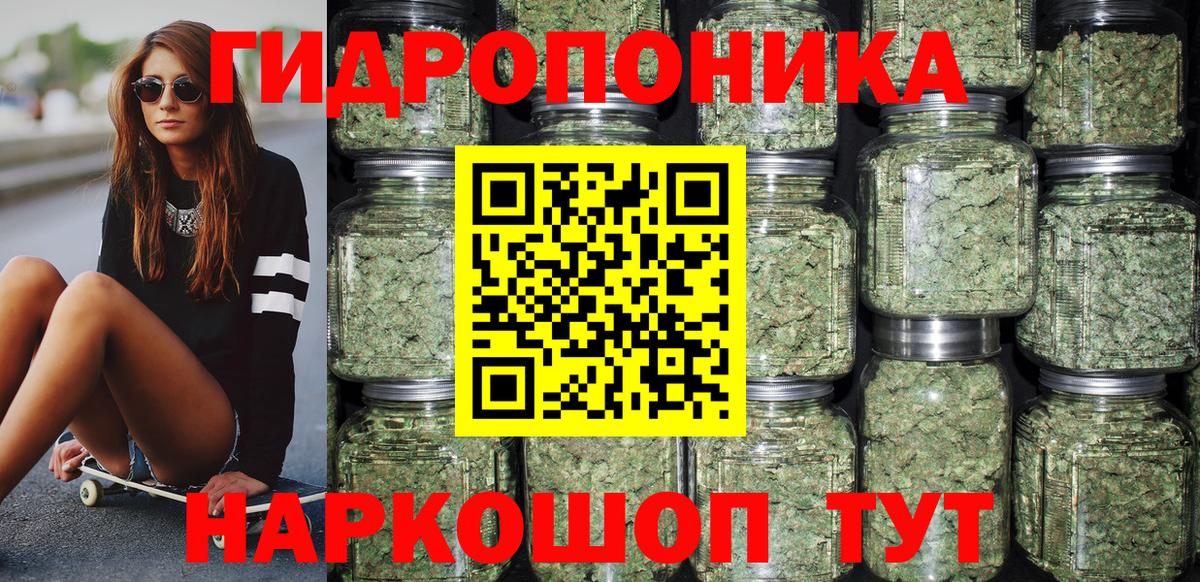 Шишки марихуана конопля Кудымкар